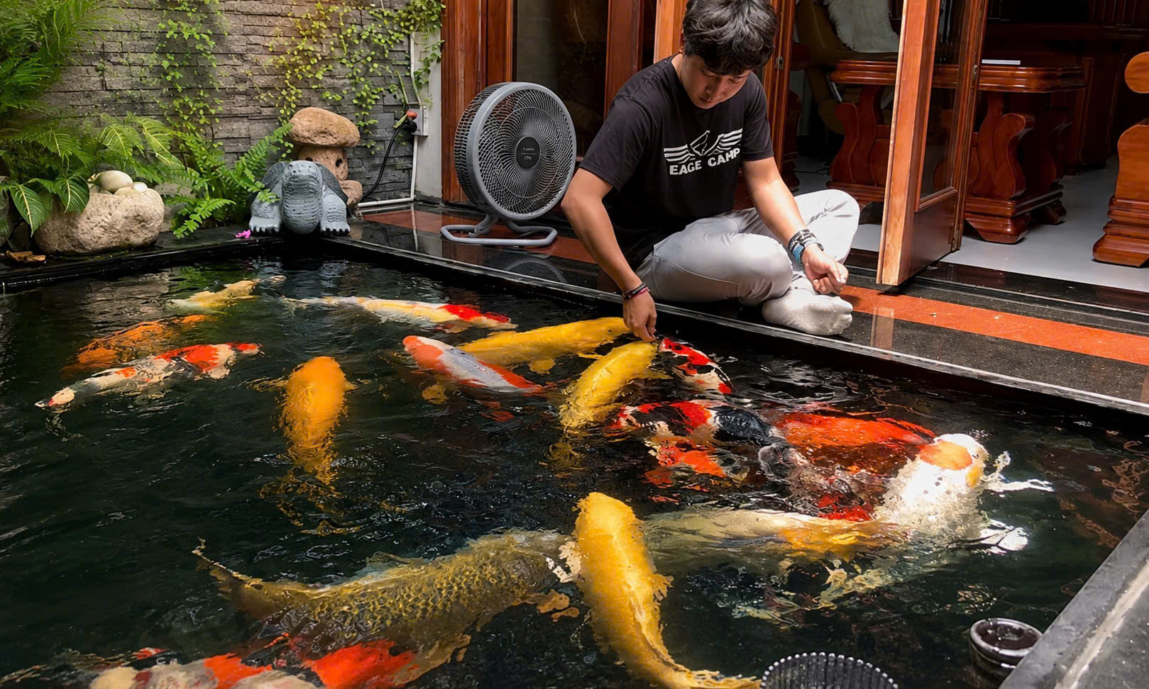 Đỗ Thanh Long cho đàn cá Koi ăn bên hồ — Linh Long Koi Farm
