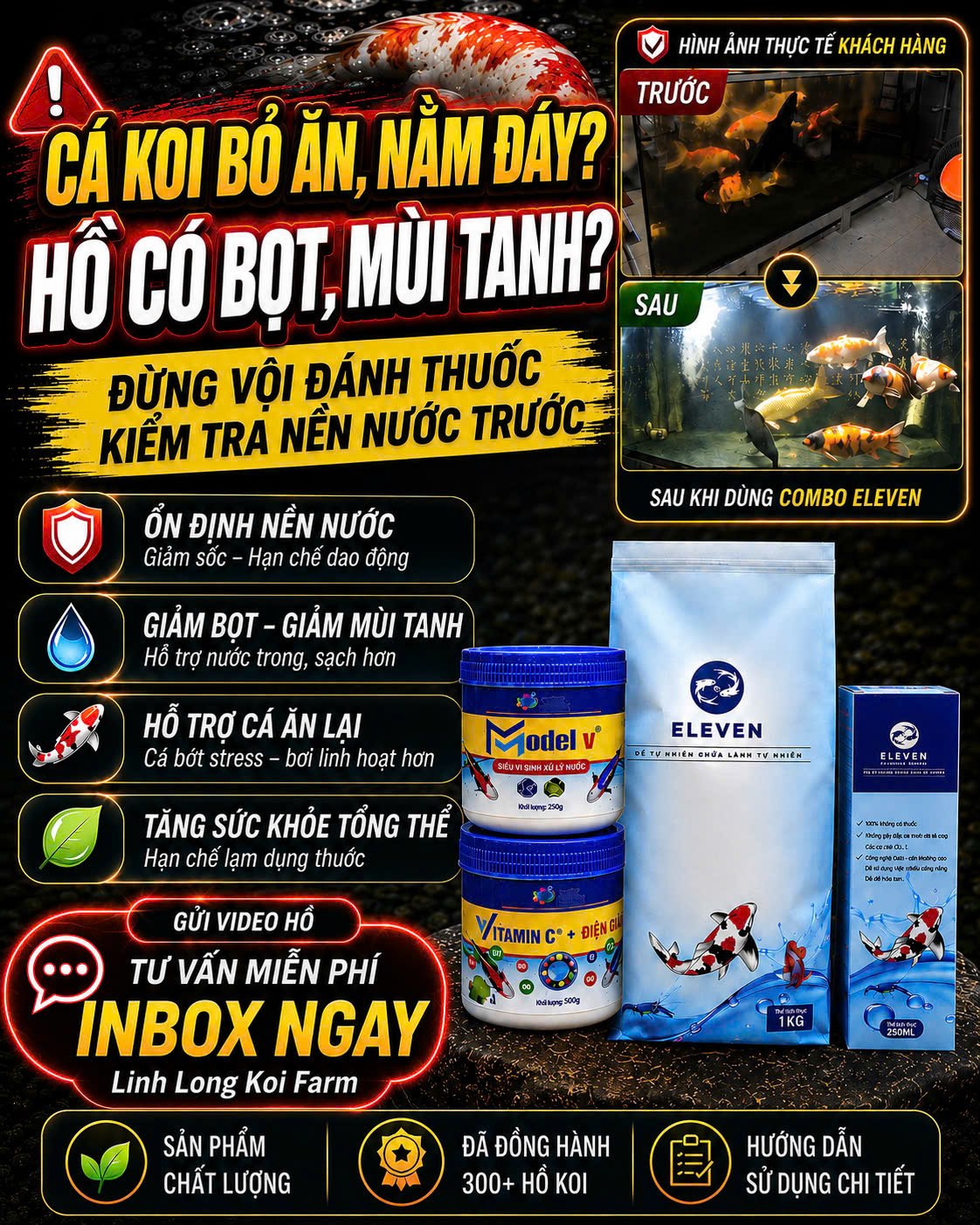 Bộ ELEVEN và hình hồ Koi trước - sau khi dùng